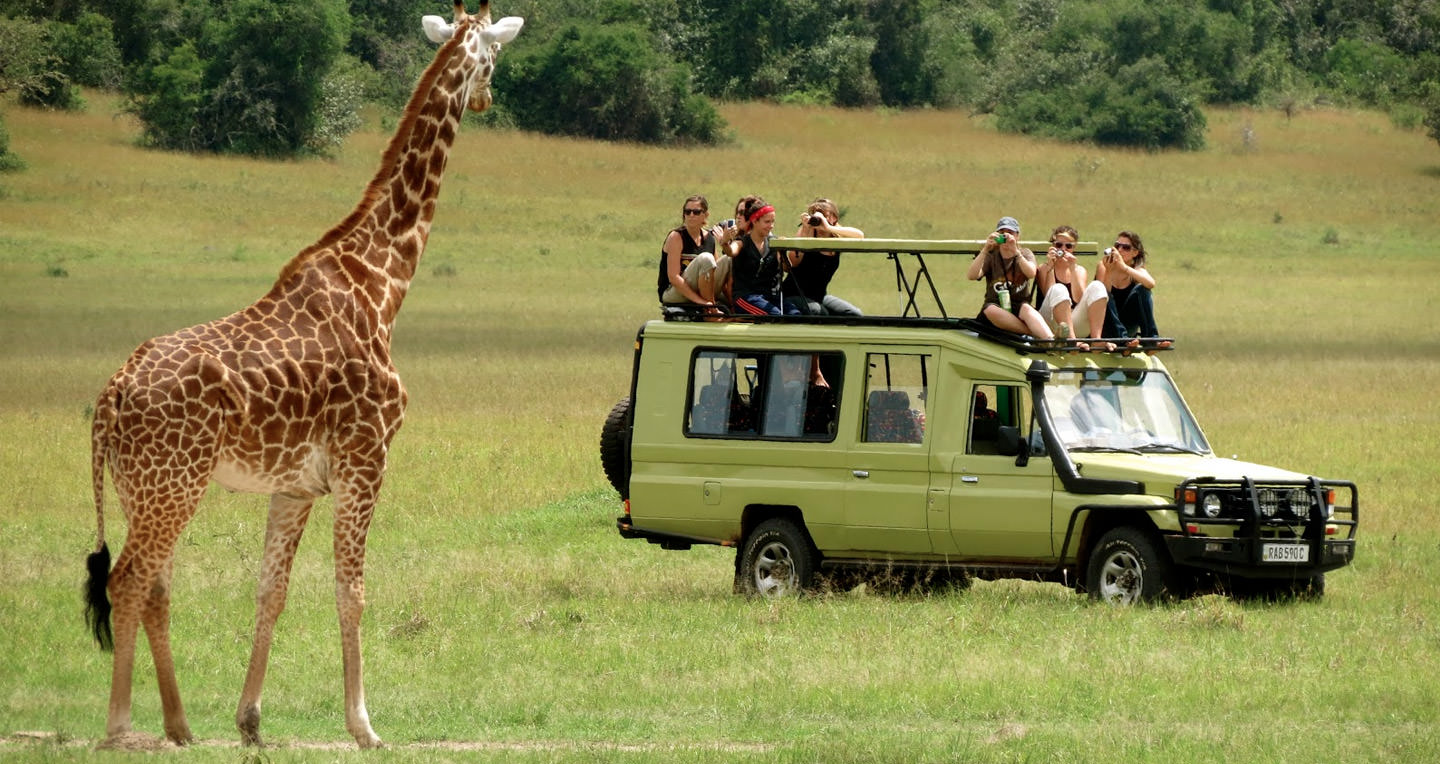 Discover Kenya Safaris Ltd 