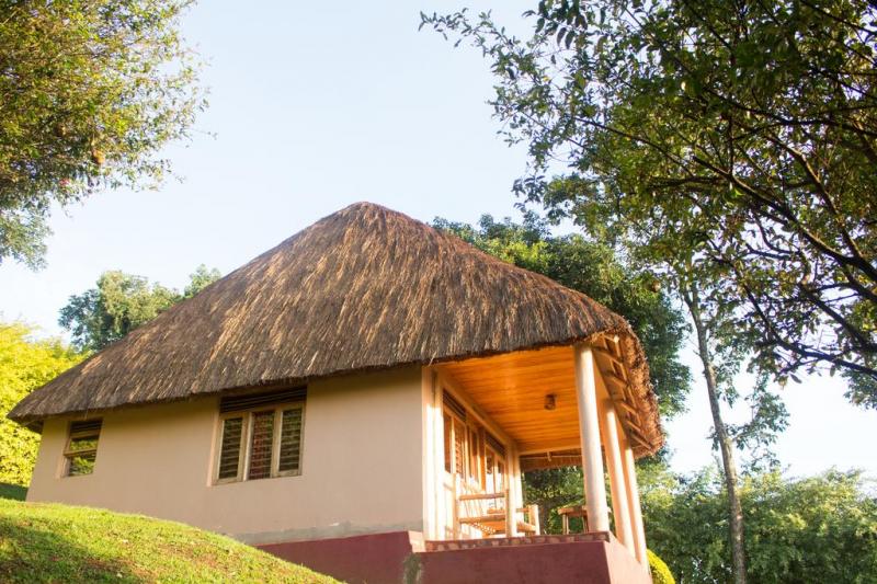 Chimpanzee Forest Guest house